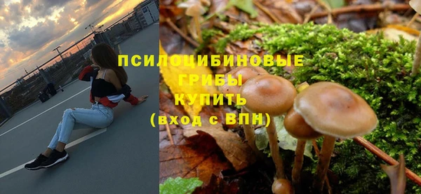 MESCALINE Аркадак