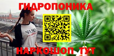 стаф Краснокаменск