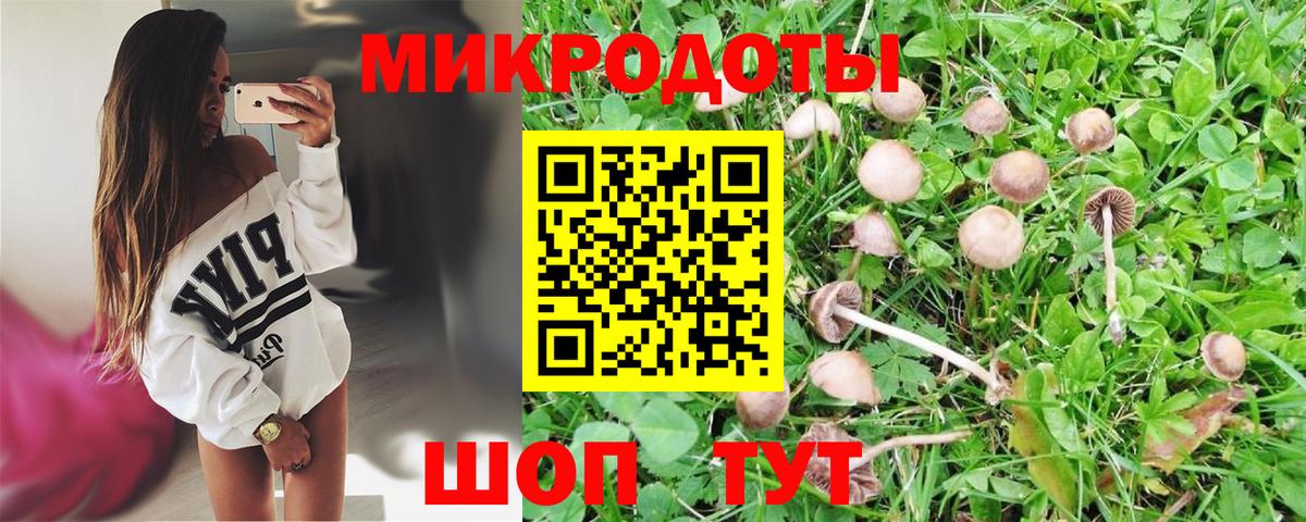 Галлюциногенные грибы Magic Shrooms  Вход с VPN  Галлюциногенные грибы Psilocybine cubensis  Джанкой 