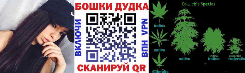 Конопля план Джанкой